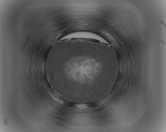 X0000091210409200708301433