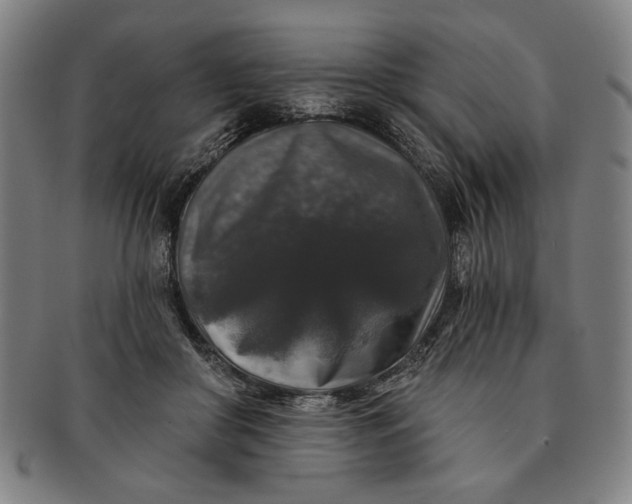 X0000091210410200708301433