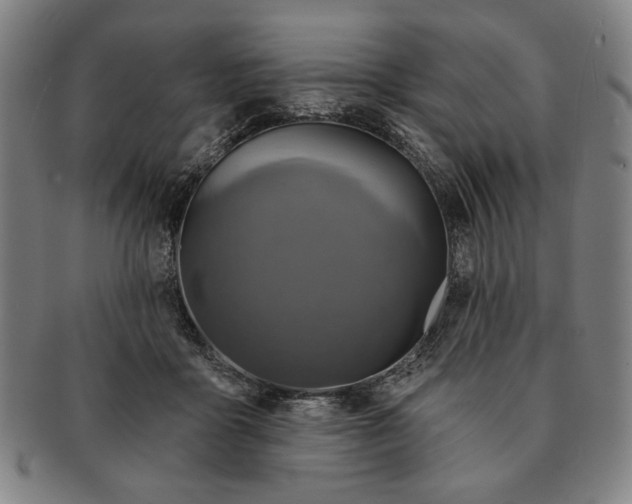 X0000091210411200708301433