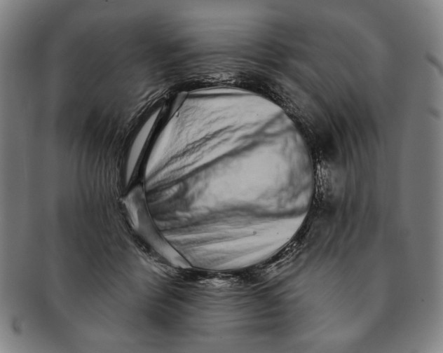 X0000091210412200708301432