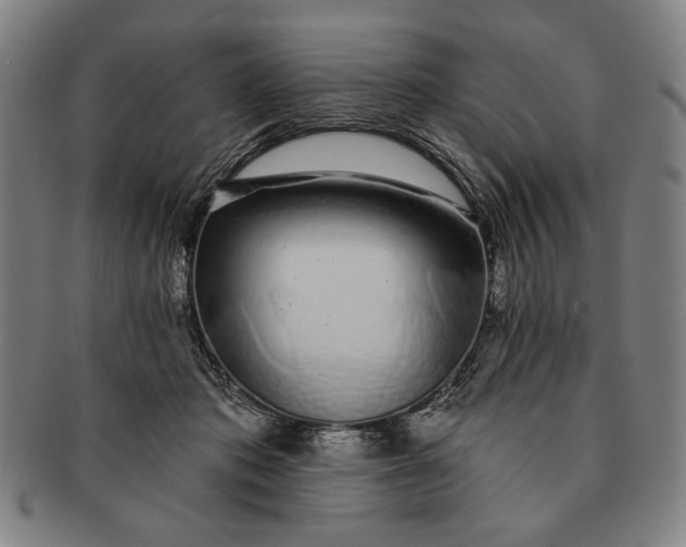 X0000091210413200708301432