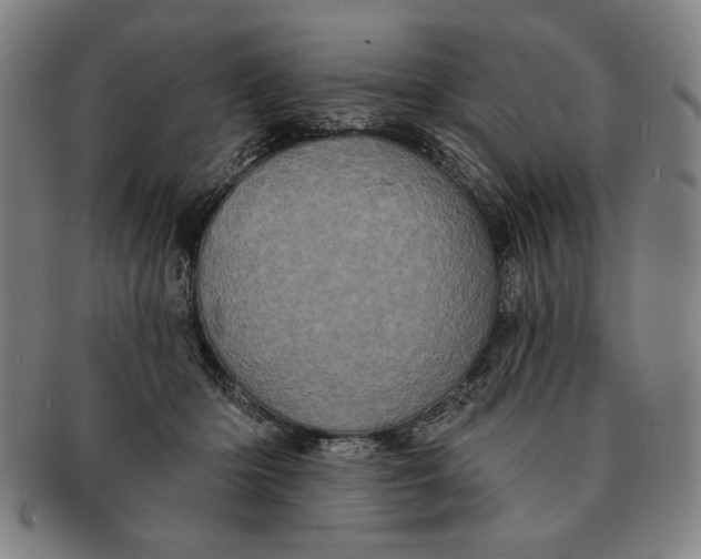 X0000091210414200708301432