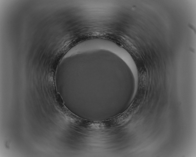 X0000091210415200708301432