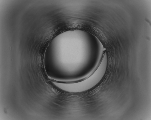 X0000091210416200708301432