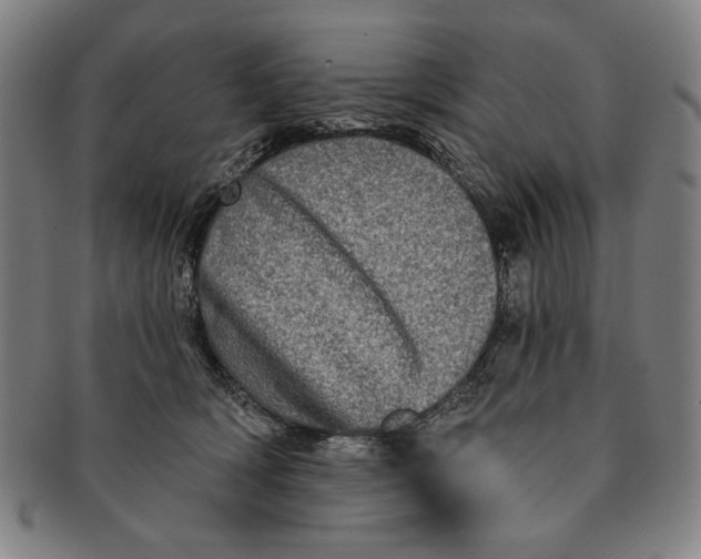 X0000091210418200708301432