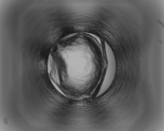 X0000091210420200708301432