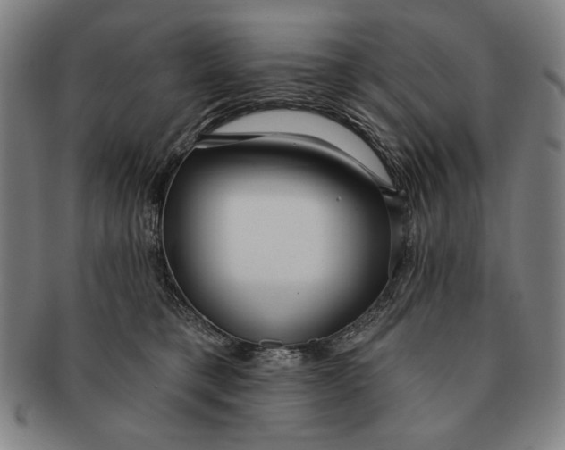 X0000091210421200708301432