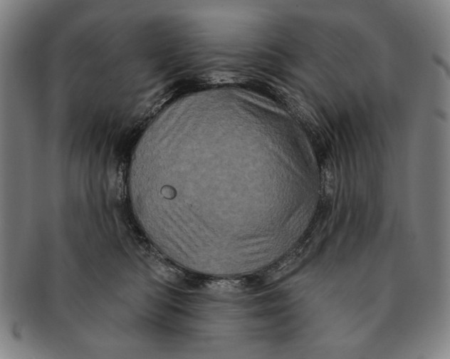 X0000091210422200708301432