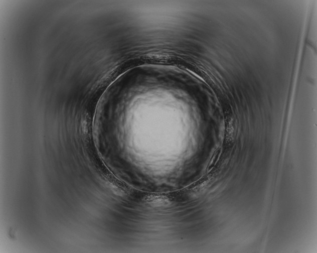 X0000091210424200708301432