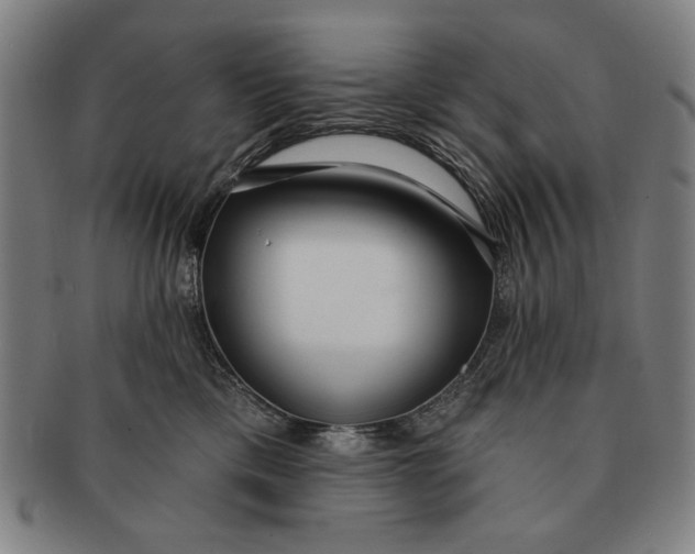 X0000091210425200708301432