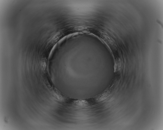 X0000091210427200708301432