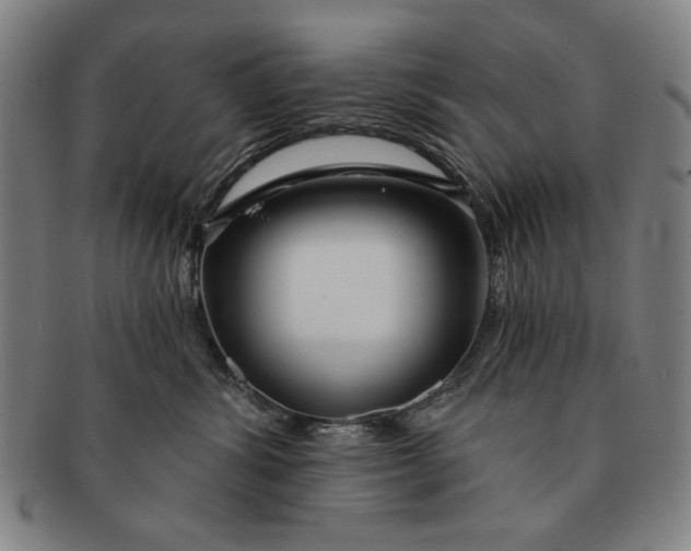 X0000091210428200708301432