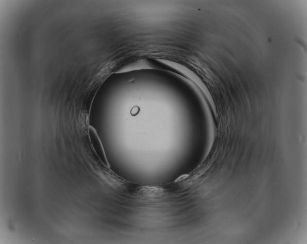 X0000091210429200708301432