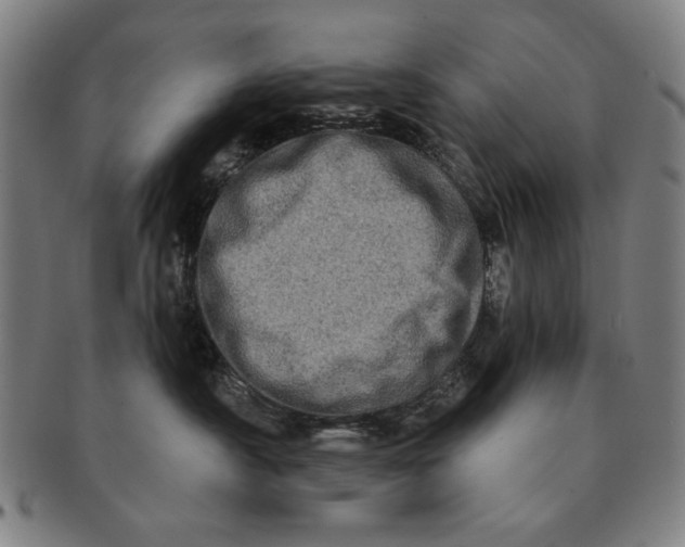 X0000091210430200708301432