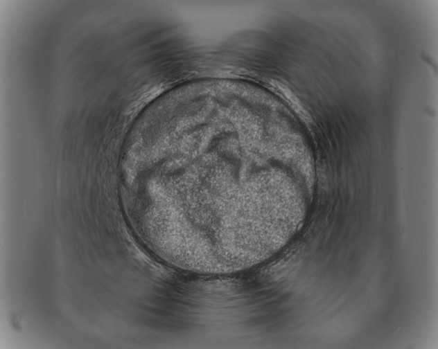 X0000091210433200708301431