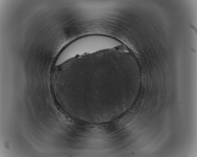 X0000091210434200708301431