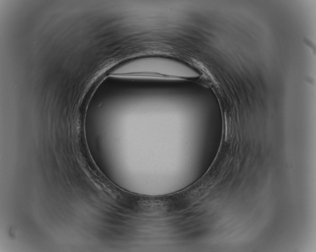 X0000091210435200708301431