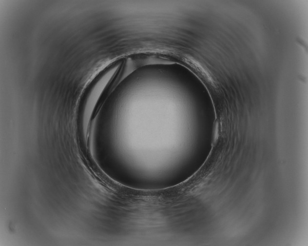 X0000091210436200708301431