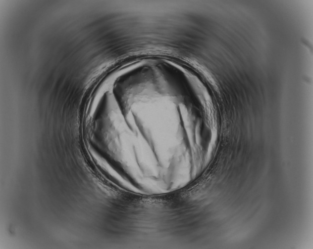 X0000091210437200708301431