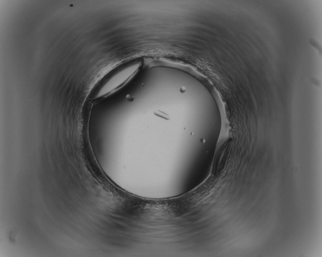 X0000091210440200708301431