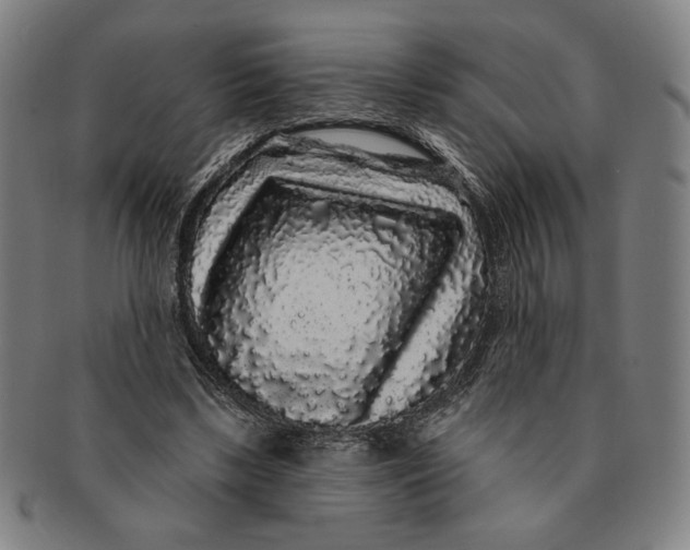 X0000091210443200708301431