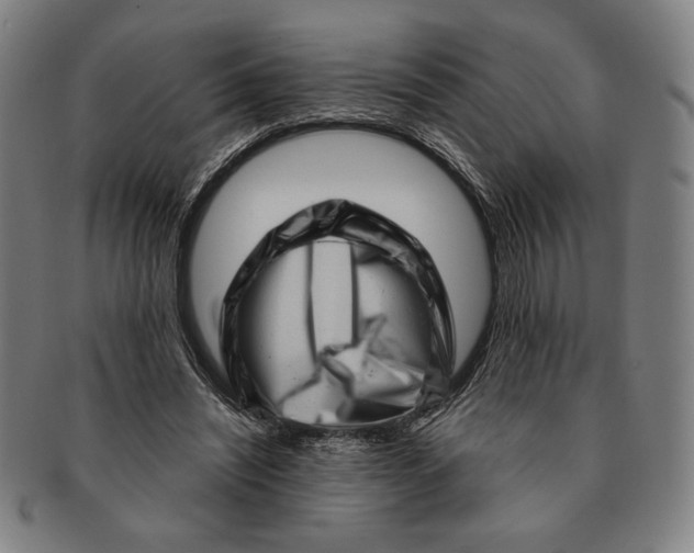 X0000091210444200708301431