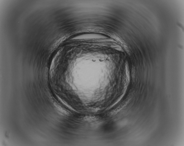 X0000091210445200708301431