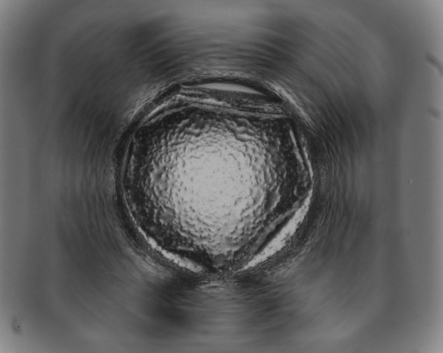 X0000091210447200708301431