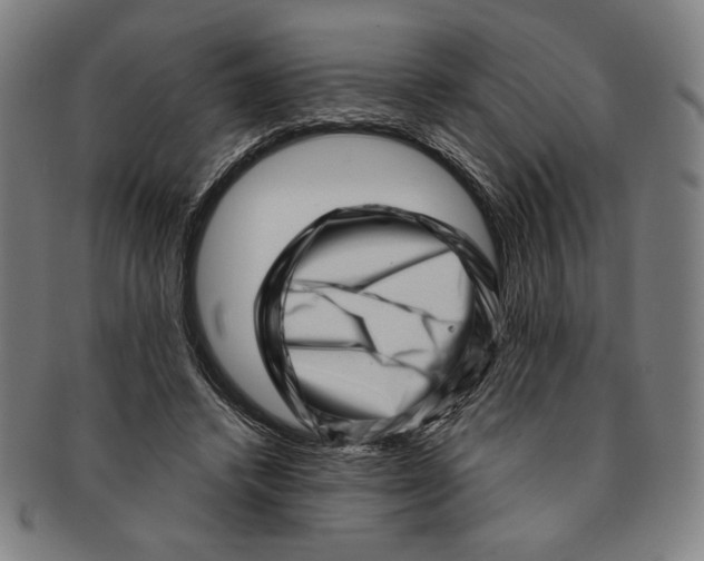 X0000091210448200708301431