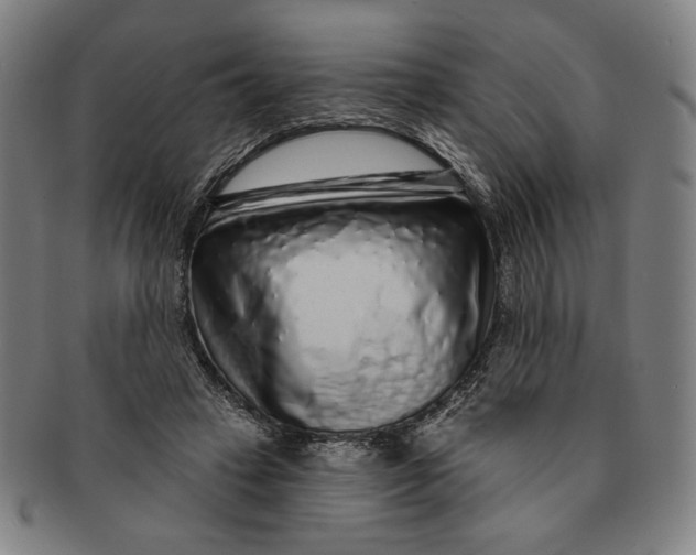 X0000091210449200708301431