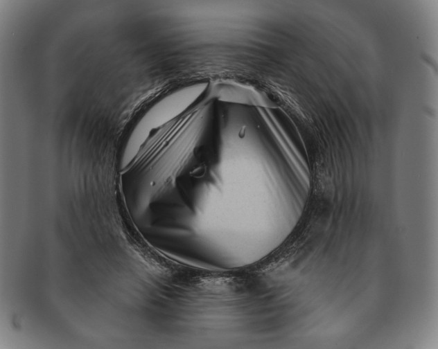 X0000091210450200708301431