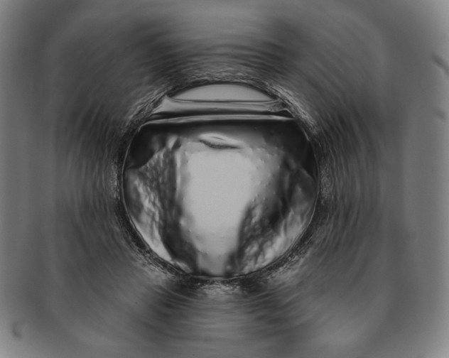 X0000091210453200708301431