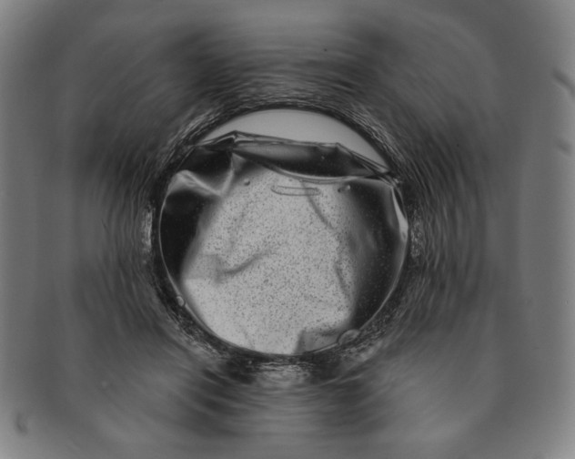 X0000091210454200708301432