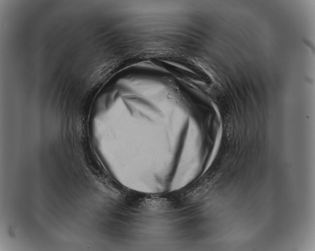 X0000091210455200708301432