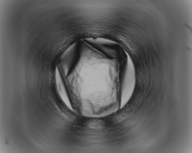 X0000091210459200708301432