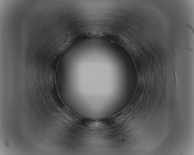 X0000091210460200708301432