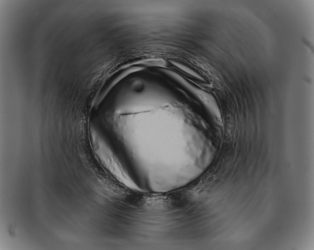 X0000091210461200708301432