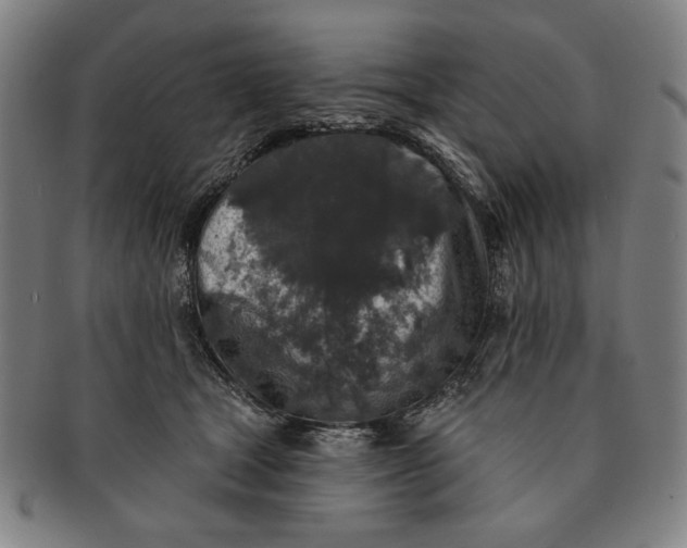 X0000091210465200708301432