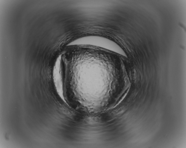 X0000091210466200708301432