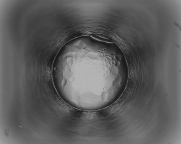 X0000091210469200708301432