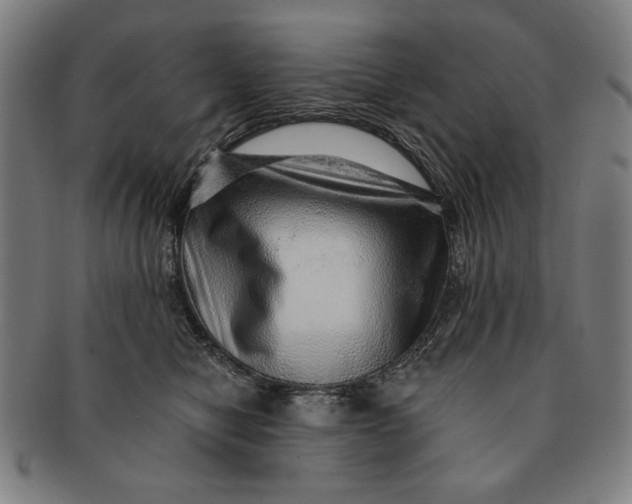 X0000091210470200708301432