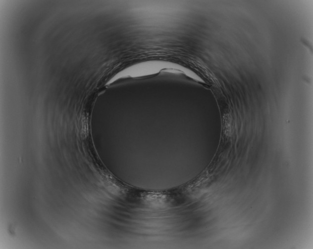 X0000091210471200708301432