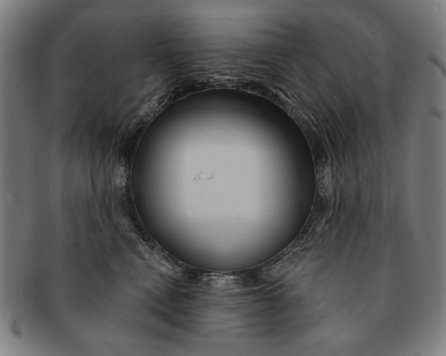 X0000091210472200708301432