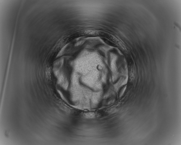 X0000091210473200708301432