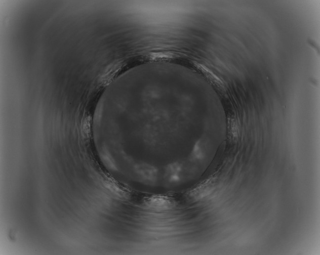 X0000091210475200708301432