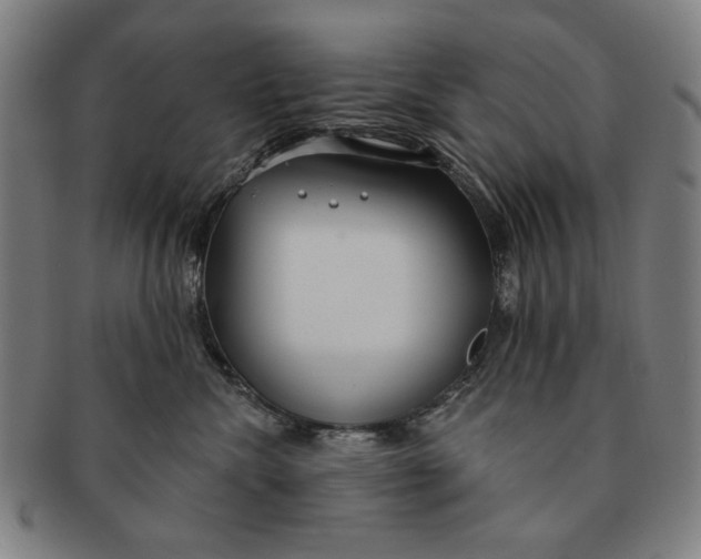 X0000091210476200708301432