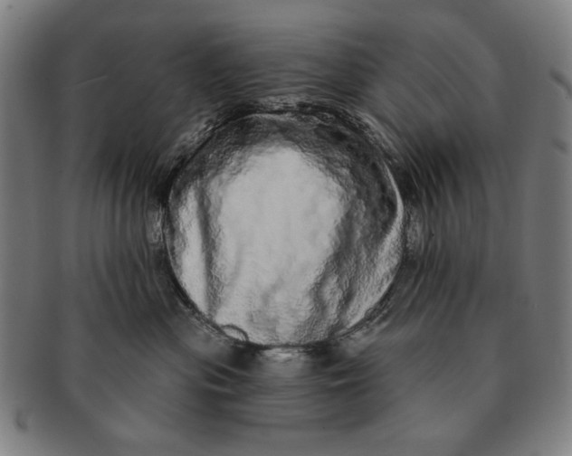 X0000091210477200708301432