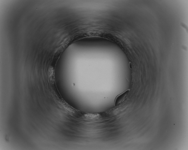 X0000091210480200708301432