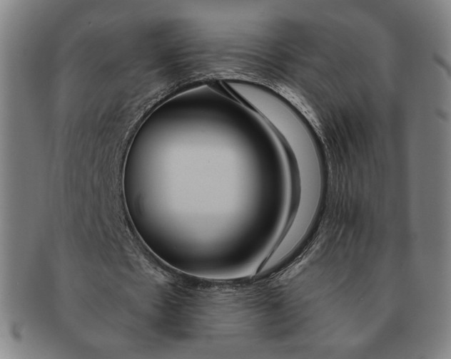 X0000091210481200708301431