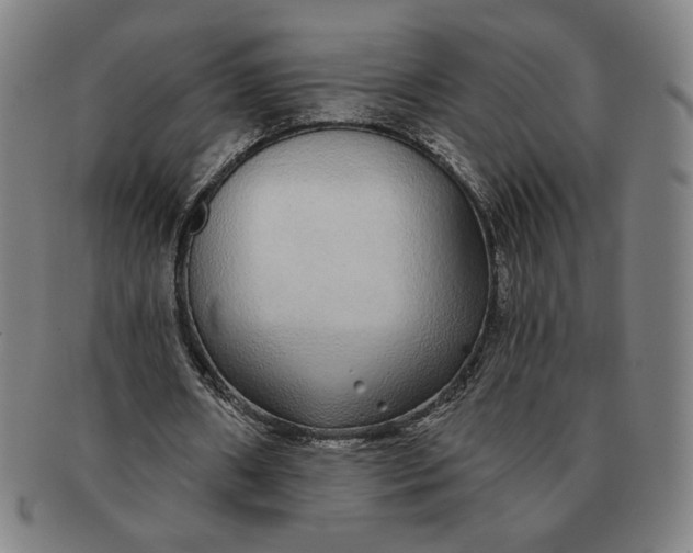 X0000091210482200708301431